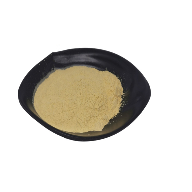 植物蛋白水解酶