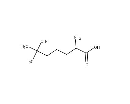 2-amino-6,6-dimethylheptanoic acid
