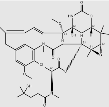 Maytansinoid DM4