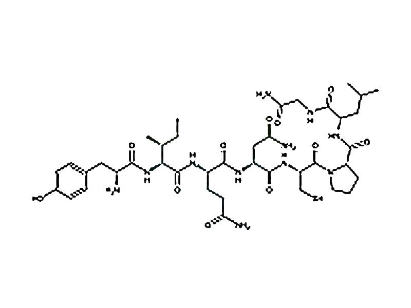 宫缩素双水解杂质（少一个氨基酸，双硫键打开）