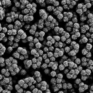 链霉亲和素磁珠