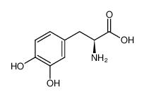 6f48a2c11168487a8ad0a3f2e88e83cf.png 6f48a2c11168487a8ad0a3f2e88e83cf.png