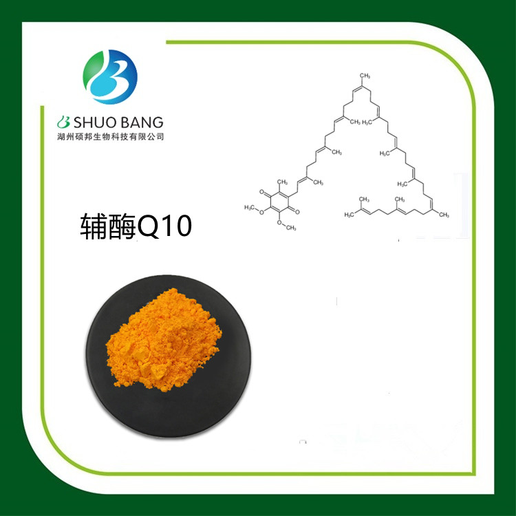 辅酶Q10