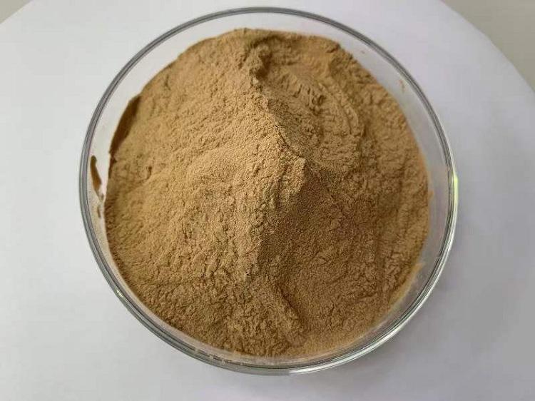 莲子提取物.jpg 莲子提取物.jpg