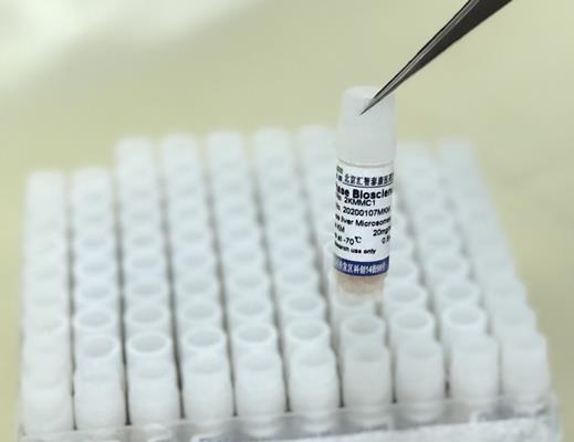 探针底物代谢产物（7种混合）