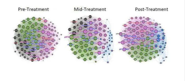 急性和慢性病毒感染之间的区别
