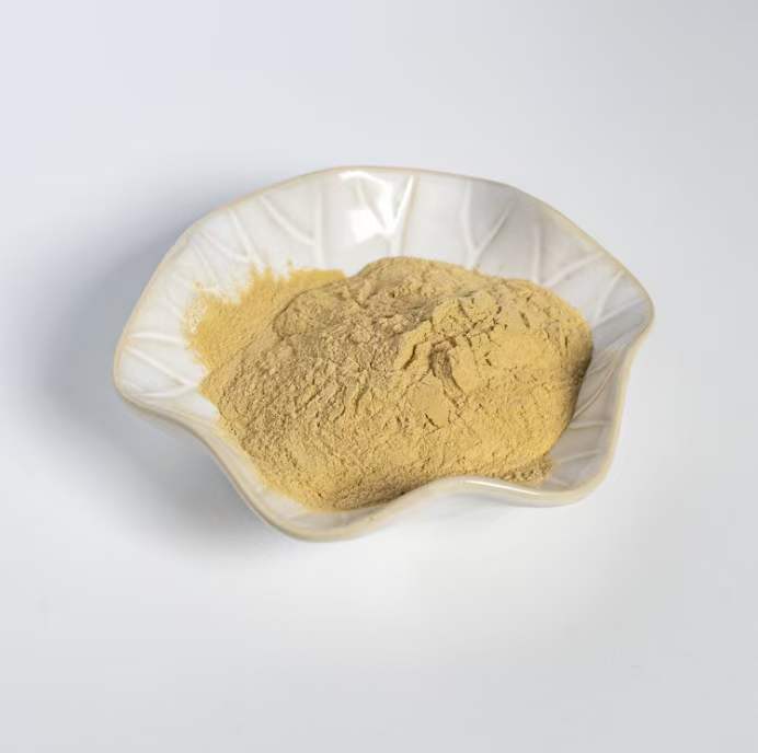 石斛提取物.jpg 石斛提取物.jpg