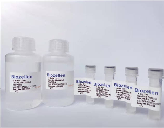 Biozellen?3D细胞培养基质胶套装