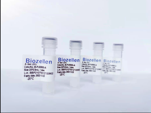 Biozellen?3D细胞培养基质胶套装