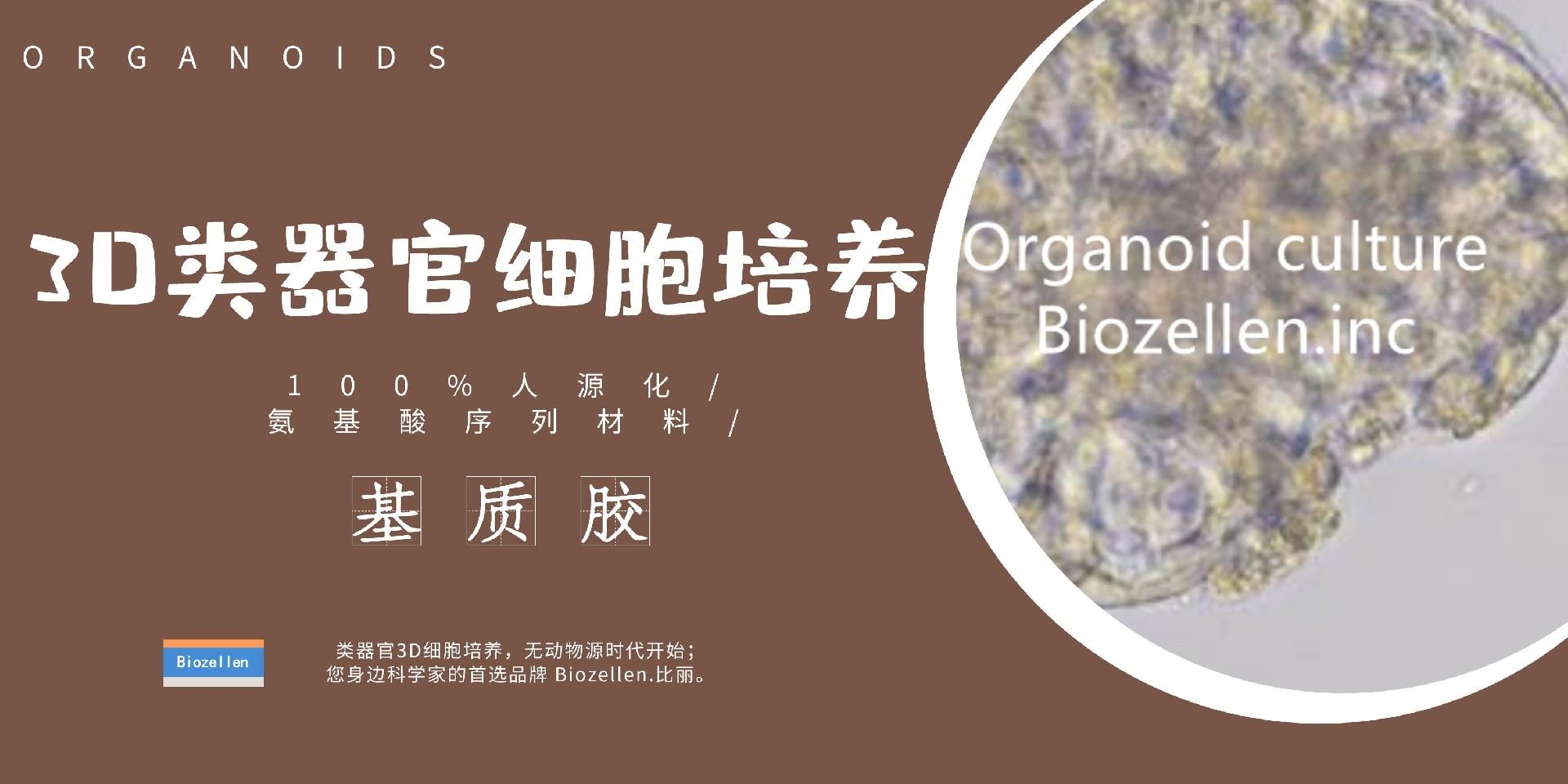 biozellen 3d培养.jpg