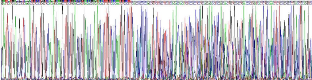 1LUJZZAZE[@PZBII2)QAX52.png 1LUJZZAZE[@PZBII2)QAX52.png