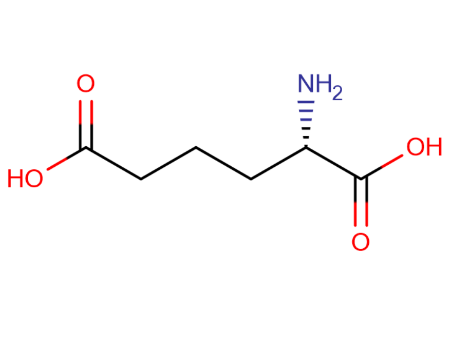 L-2-氨基己二酸