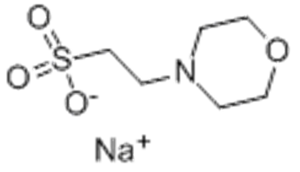2-吗啉乙磺酸钠