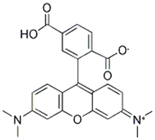 5-羧基四甲基罗丹明