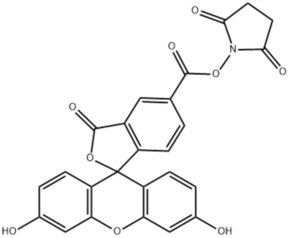 5-羧基荧光素琥珀酰亚胺酯