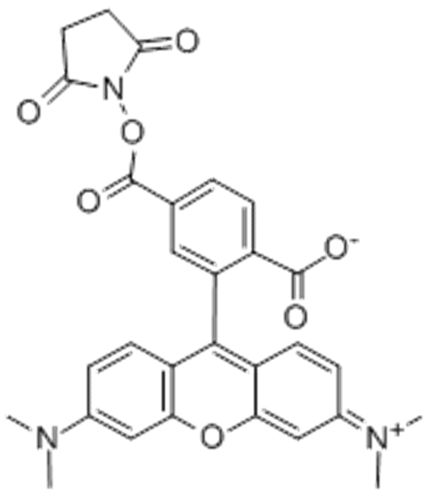 6-羧基四甲基罗丹明琥珀酰亚胺酯