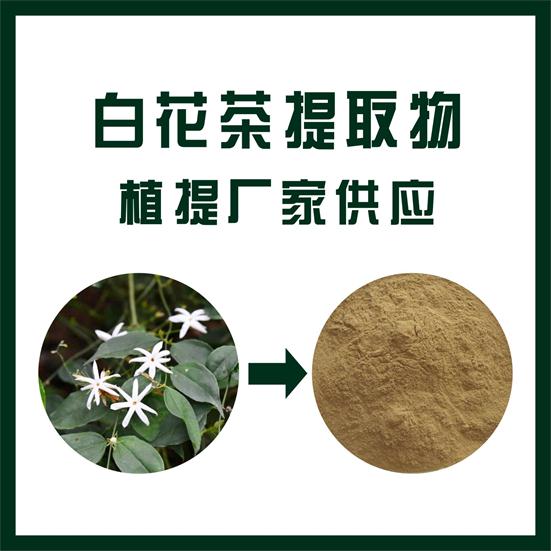 白花茶提取物