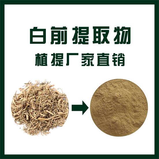 白前提取物