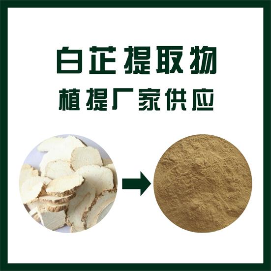 白芷提取物