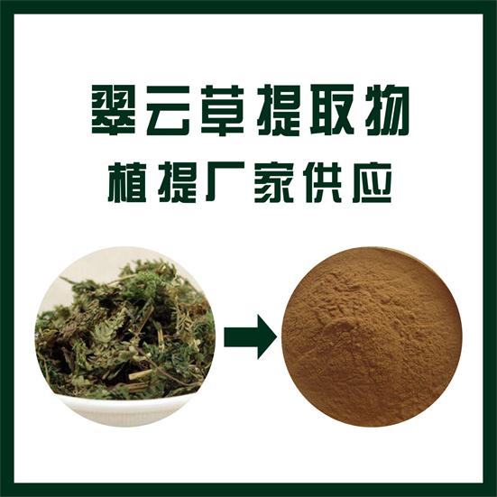 翠云草提取物