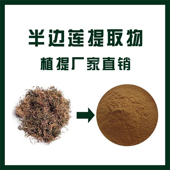 半边莲提取物