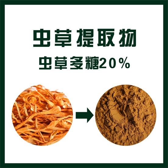 虫草提取物