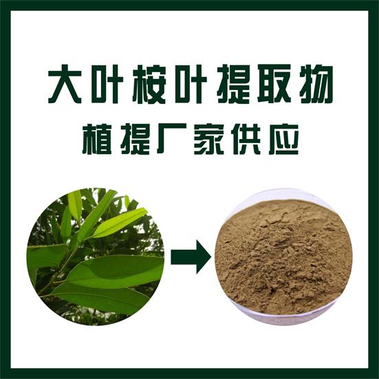 大叶桉叶提取物