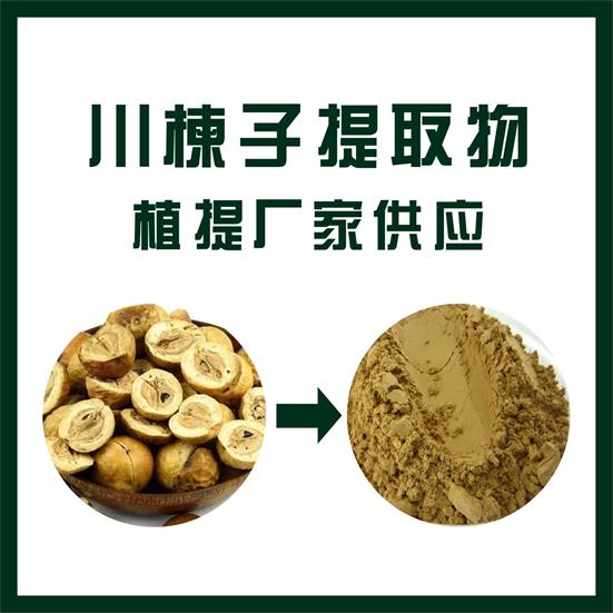 川楝子提取物
