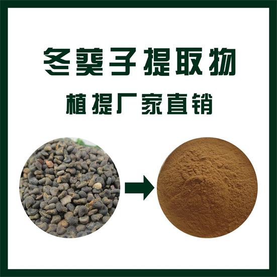冬葵子提取物