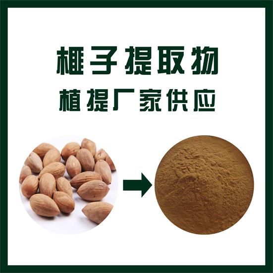 榧子提取物