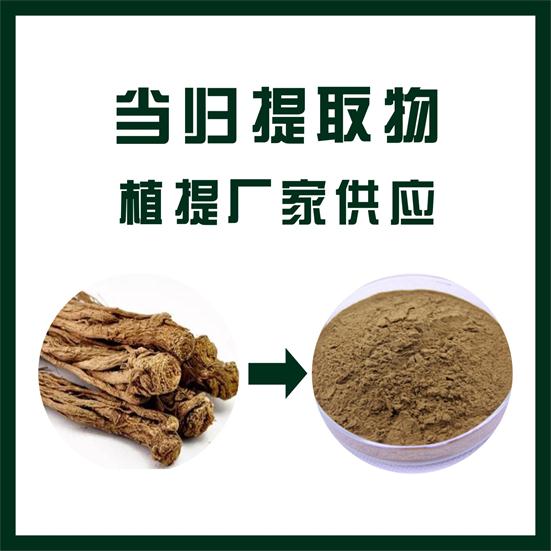 当归提取物