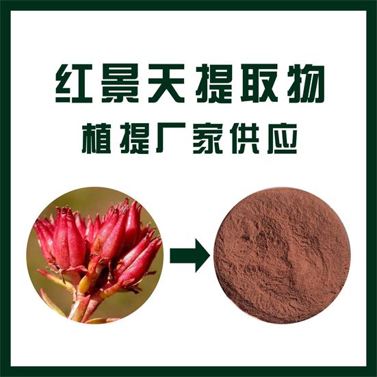 红景天提取物