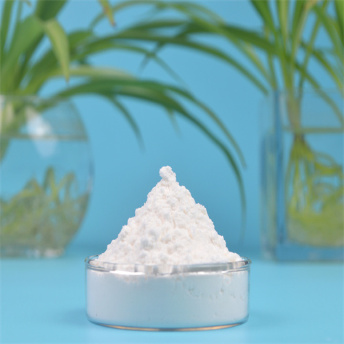 左旋肉碱盐酸盐