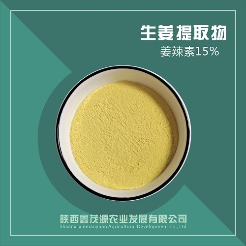 生姜提取物 姜辣素20% 植提厂家 姜辣素 现货包邮中