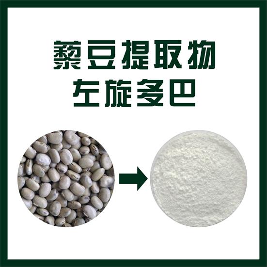 藜豆提取物