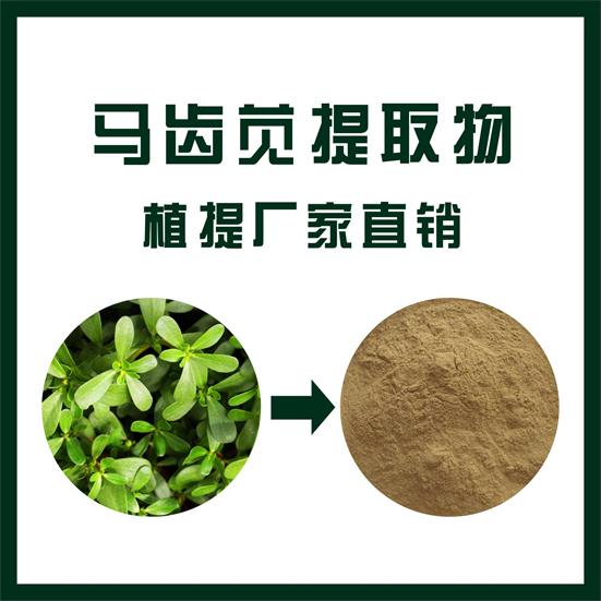 假马齿苋提取物