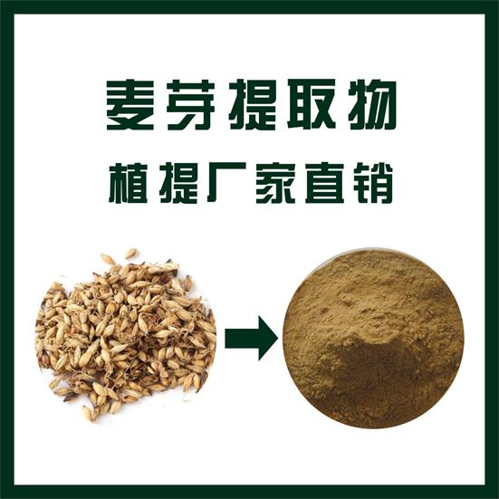 麦芽提取物