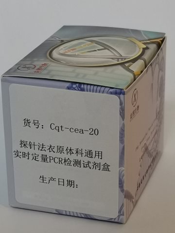 探针法衣原体科通用实时定量PCR检测试剂盒