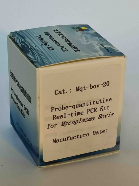 探针法牛支原体实时定量PCR试剂盒