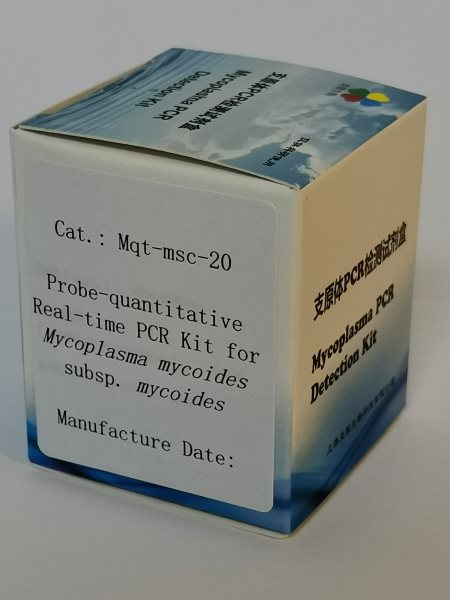 探针法丝状支原体丝状亚种实时定量PCR试剂盒