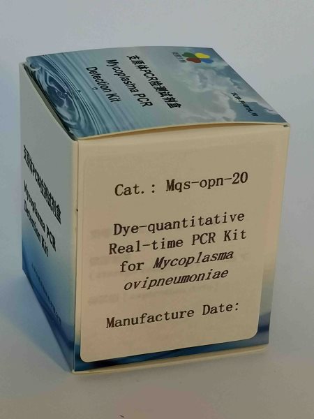 染料法绵羊肺炎支原体实时定量PCR试剂盒