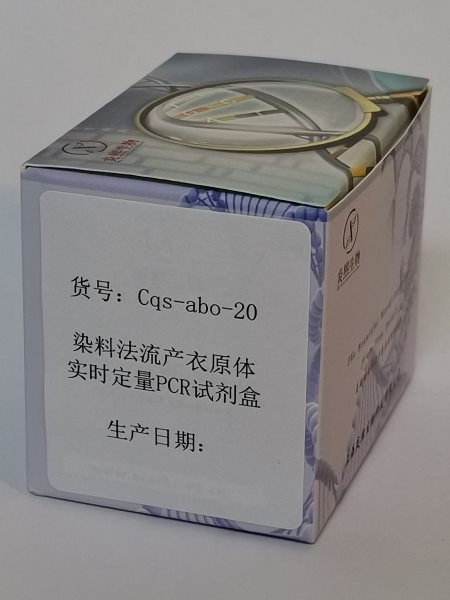 染料法流产衣原体实时定量PCR试剂盒