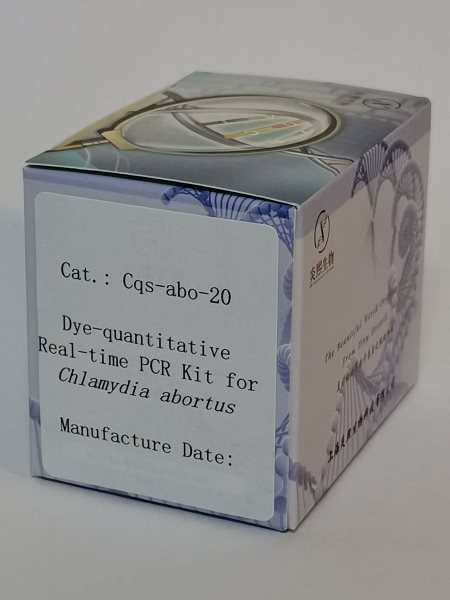染料法流产衣原体实时定量PCR试剂盒