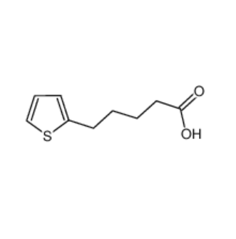 5-(2-噻吩基)戊酸