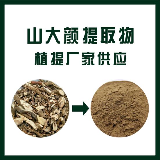 山大颜提取物