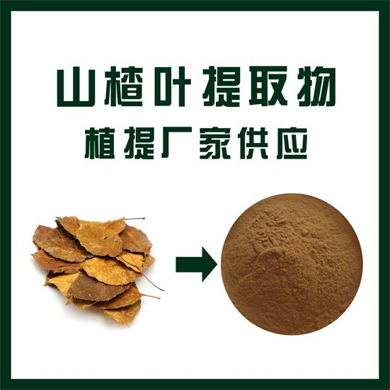 山楂叶提取物