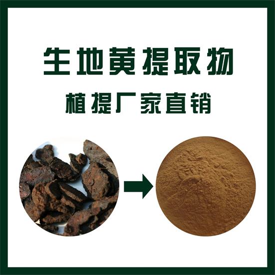 生地黄提取物