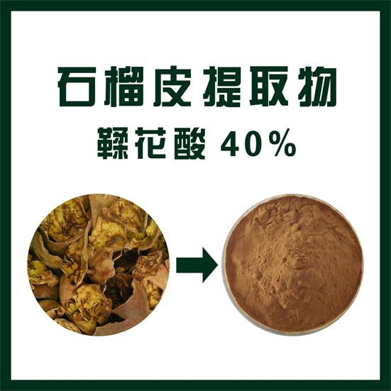 石榴皮提取物