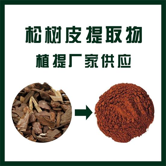 松树皮提取物
