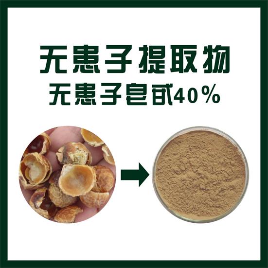 无患子提取物